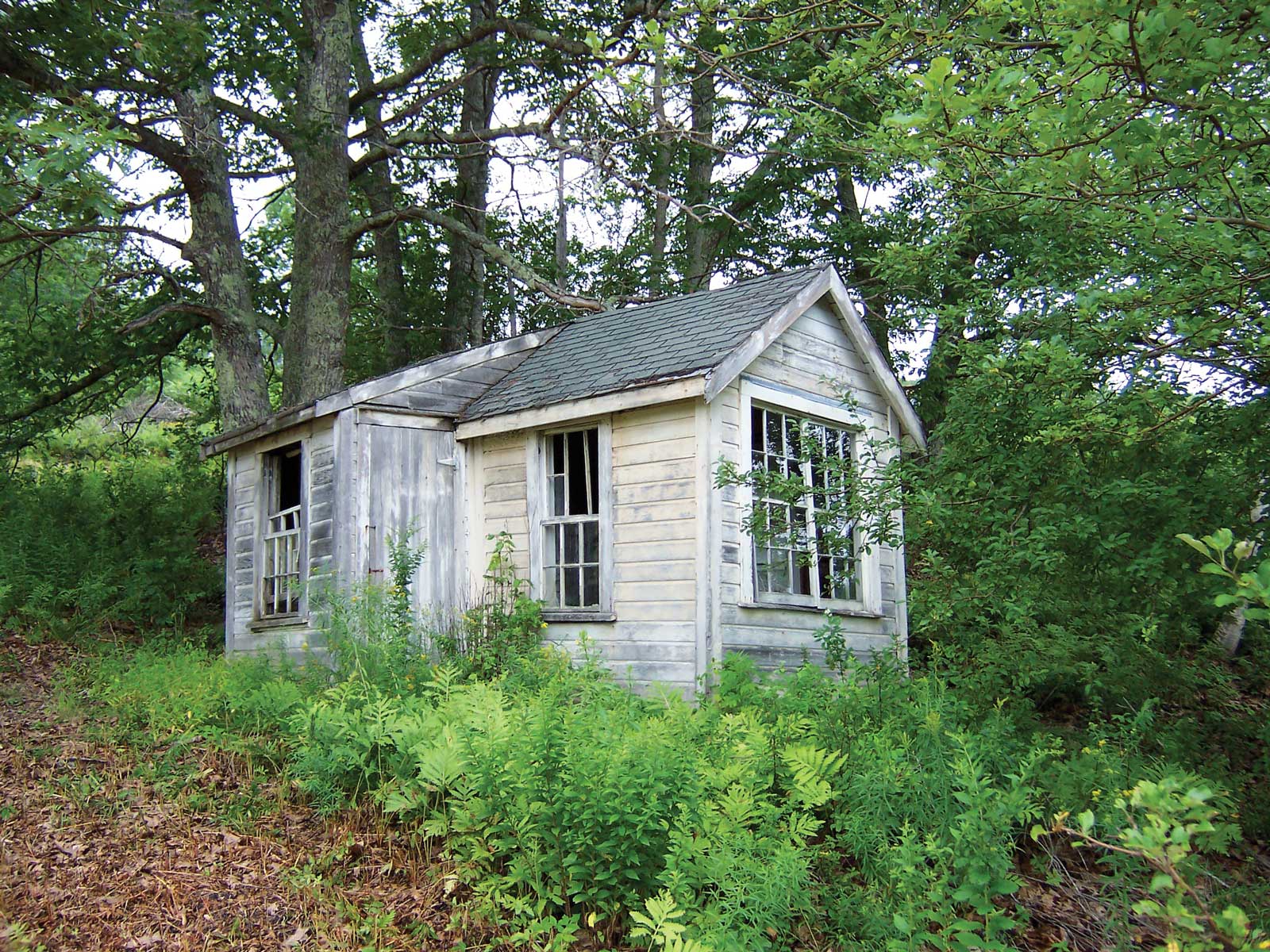 house