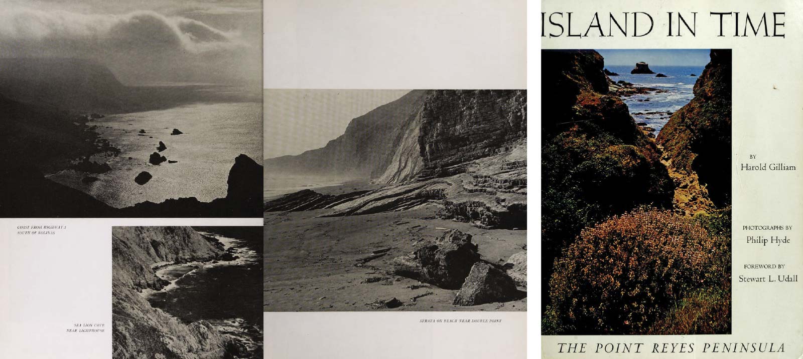 Island In Time