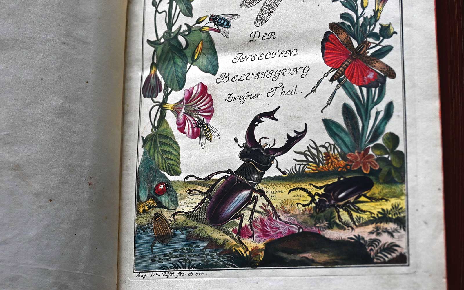 A hand-colored engraving by Zweyter Theil