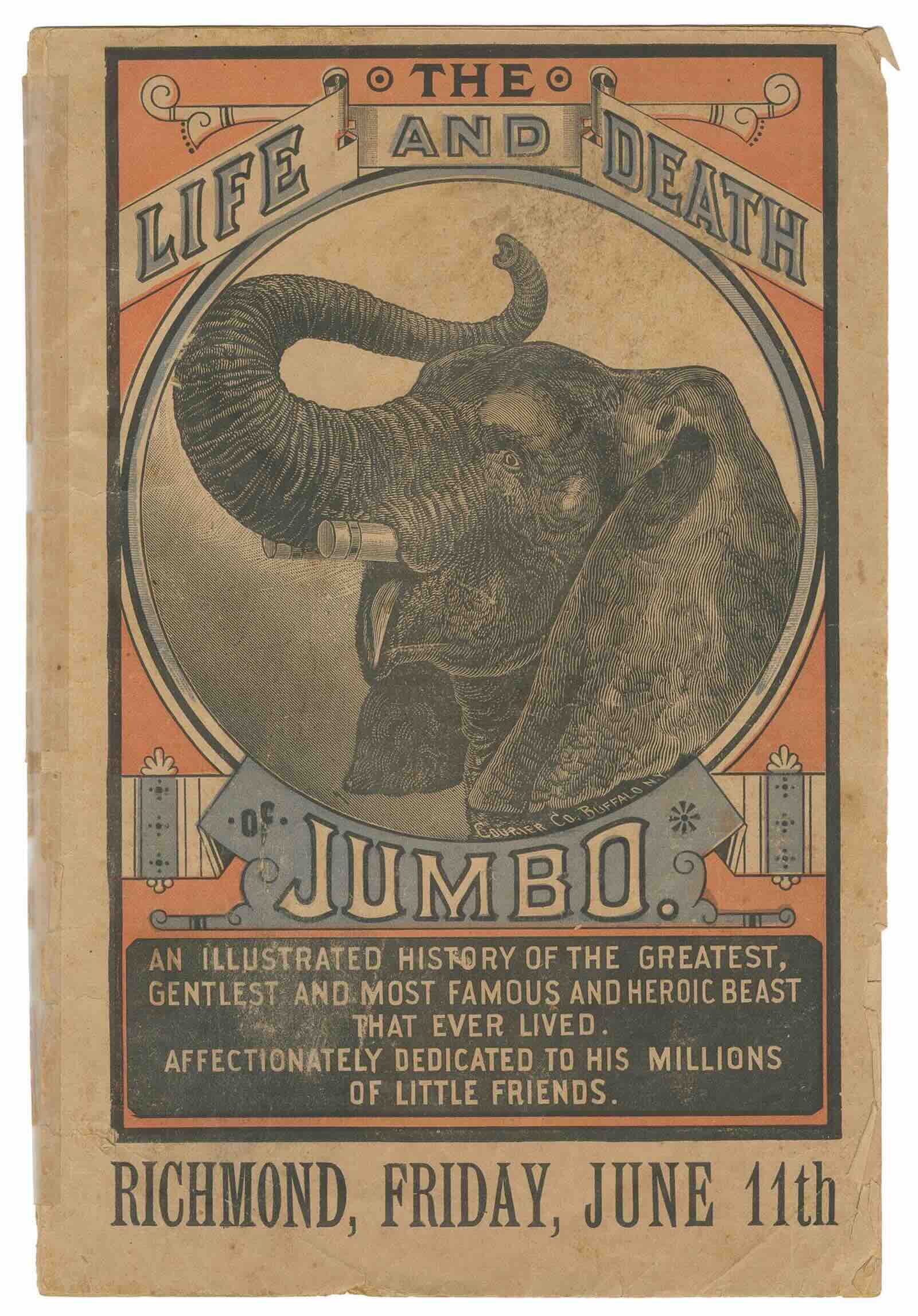 The Life and Death of Jumbo